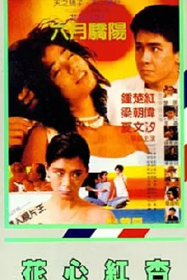 **圈论坛视频
